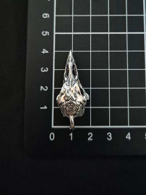 Bird skull