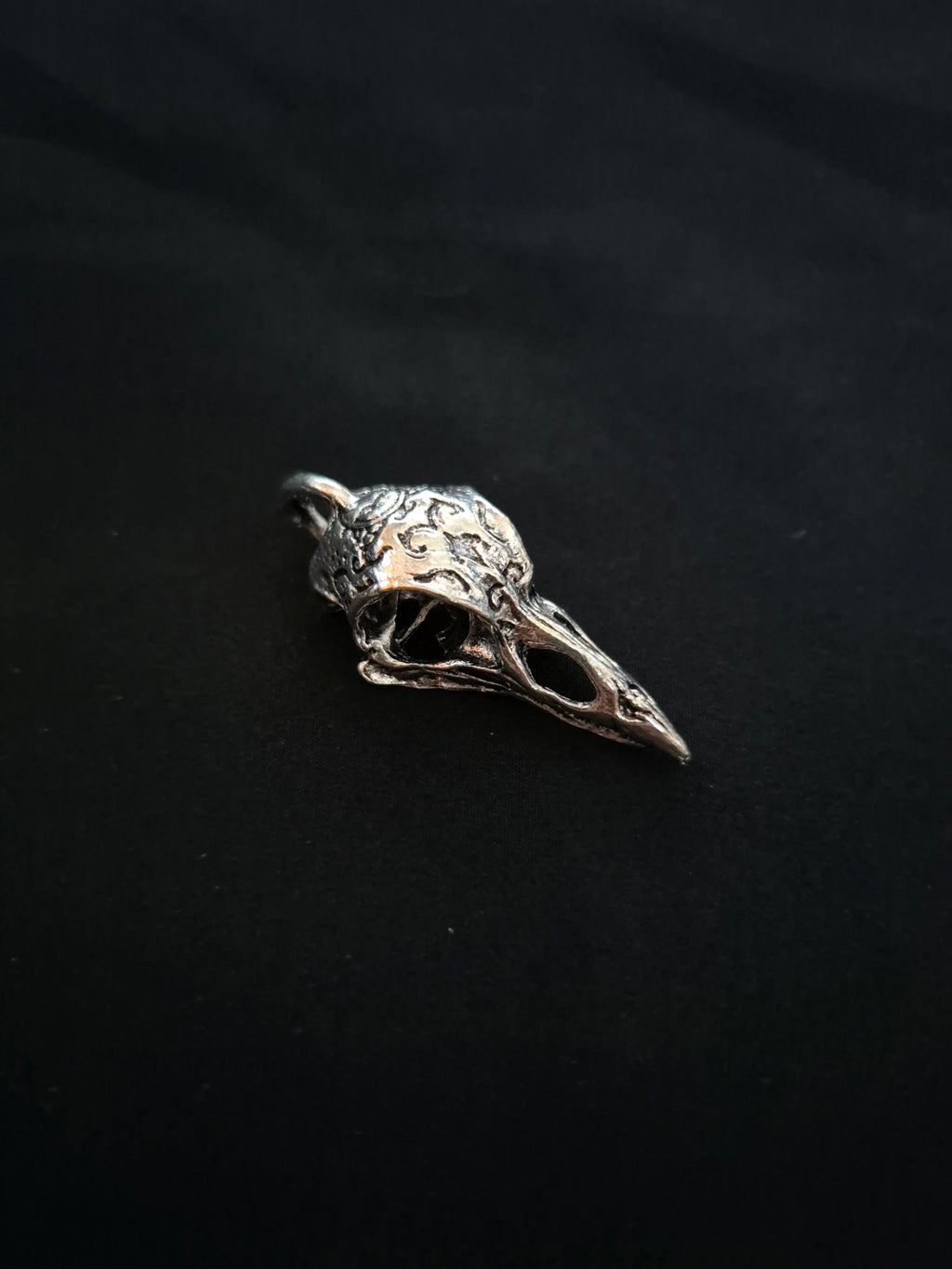 Bird skull