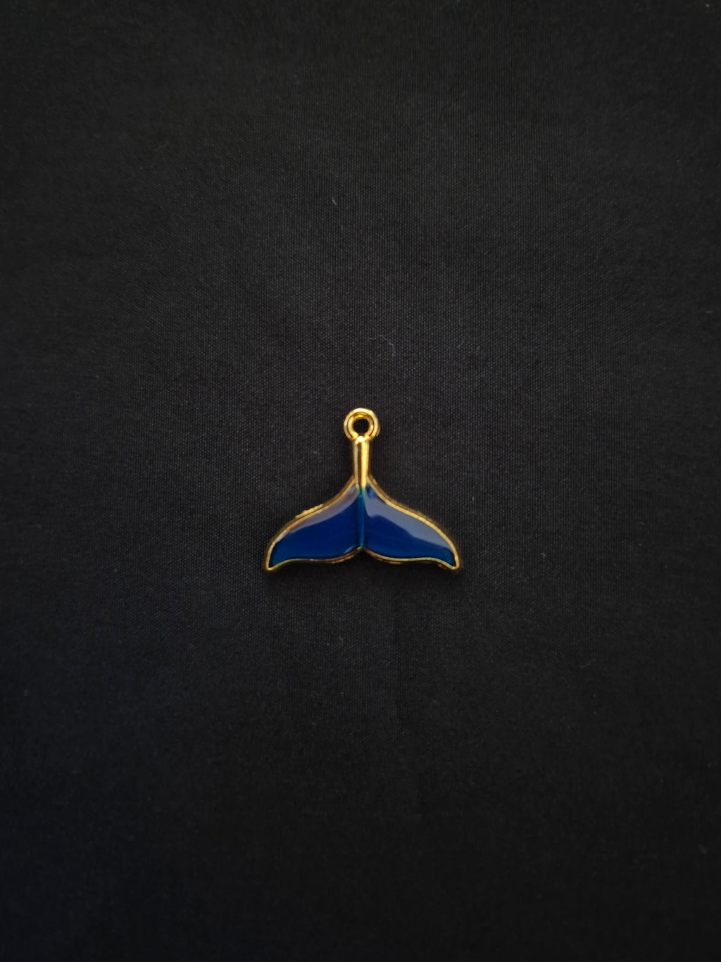 Whale tail Blue